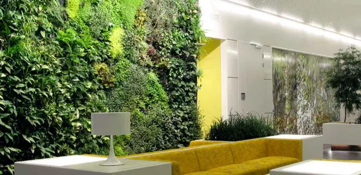 Jardín hidropónico en casa: qué es, cómo funciona y cómo hacerlo