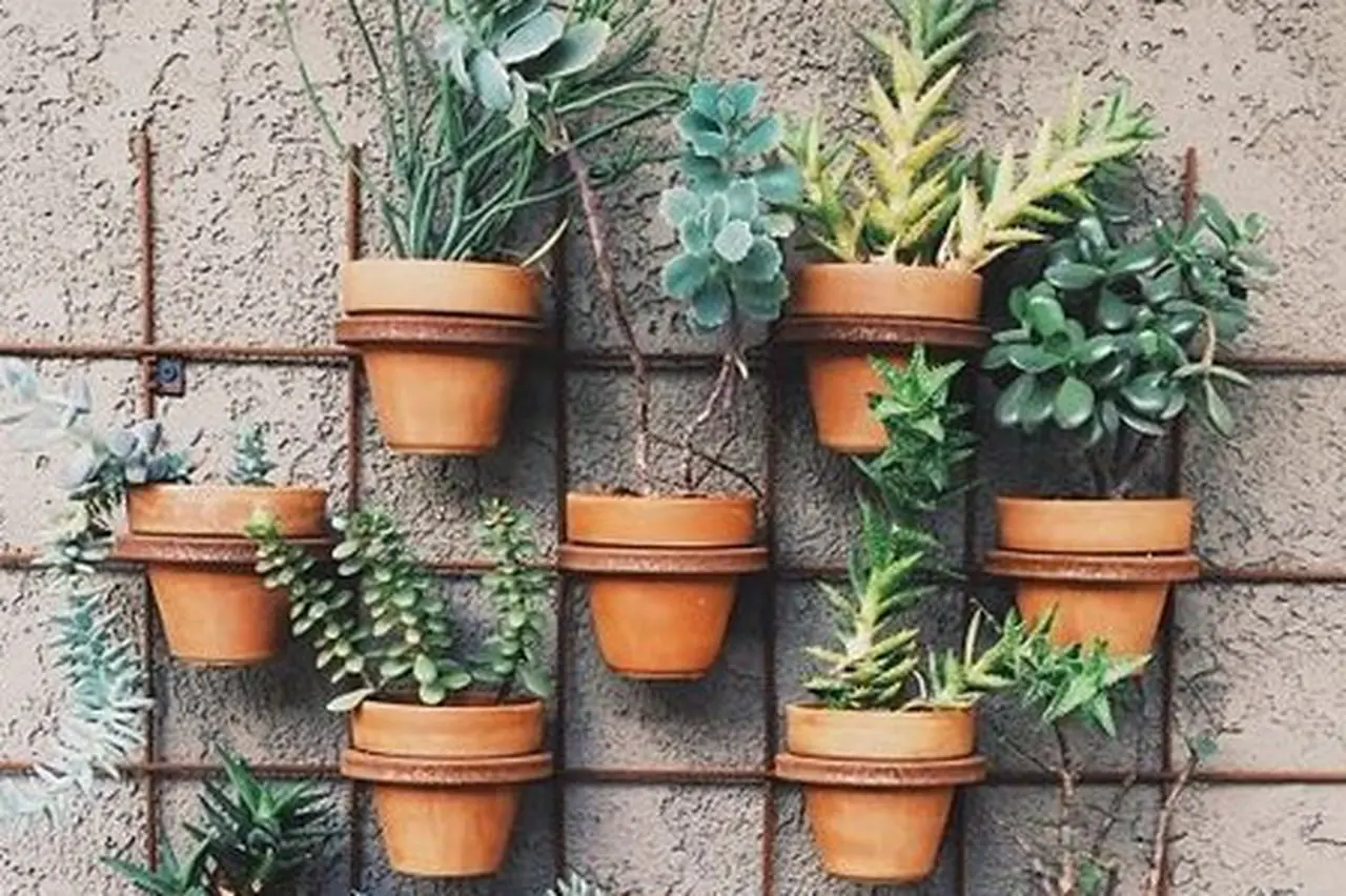 Algunos consejos para mantener un jardín vertical o un huerto en espacios pequeños