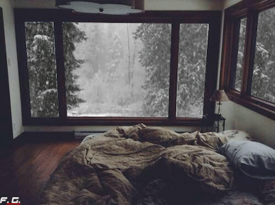 ventana de nieve