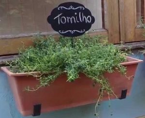 Como fazer uma Jardineiras de ervas aromáticas a