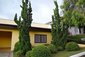 Características, cuidados y cultivo de Kaizuka (Juniperus Chinensis Torulosa