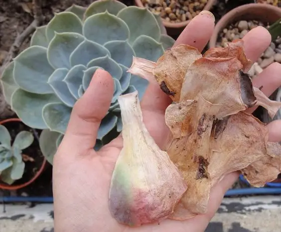 mantenimiento mantenimiento