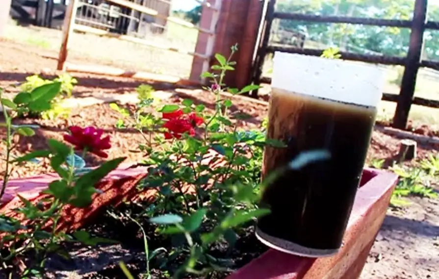 fertilizante liquido fertilizante liquido