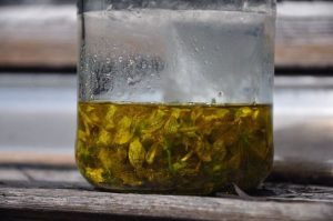Aceite de hipérico