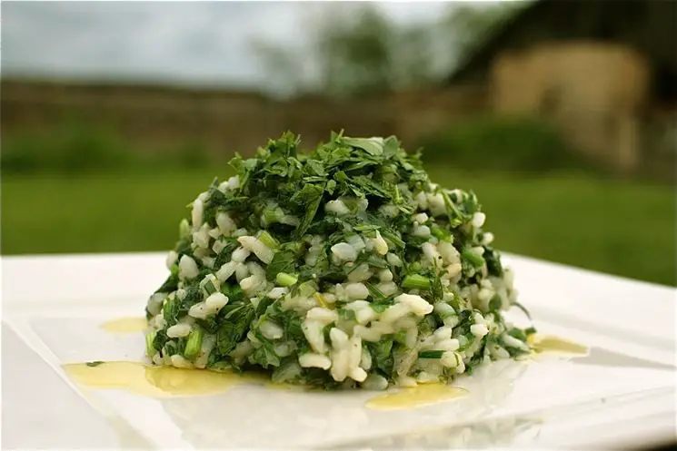 Raíz de ortiga - Consejos para mi huerto