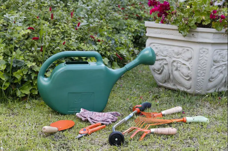 regadera de plastico regadera de plastico