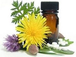 Suspensión integral de planta fresca