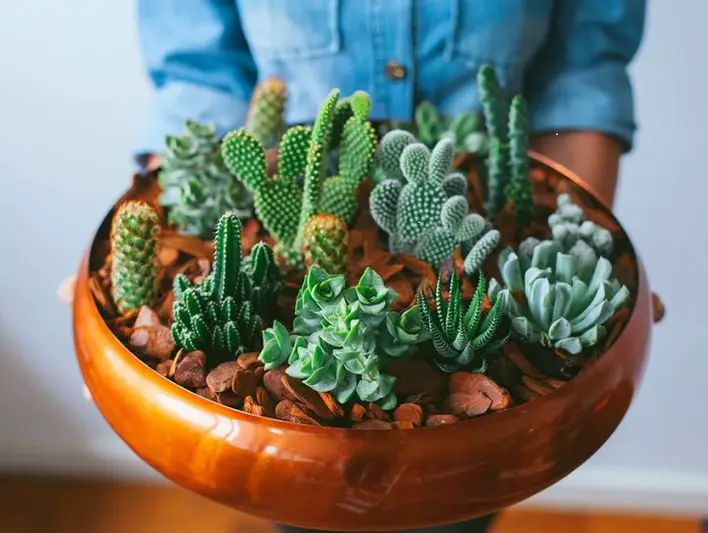 vasija de barro vasija de barro