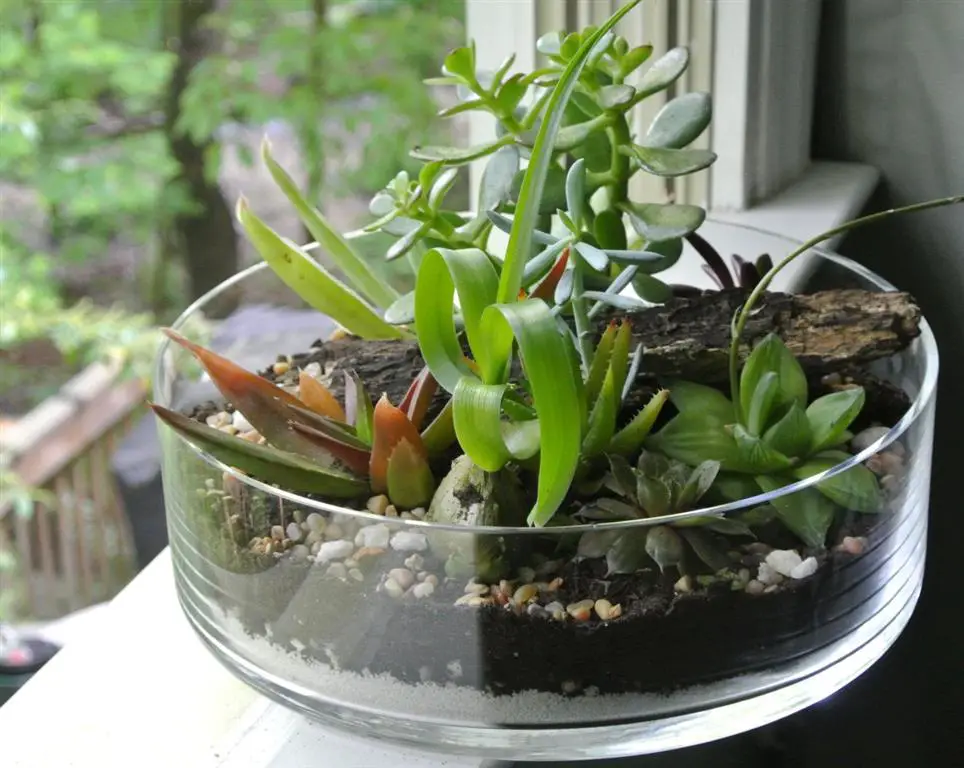 florero de vidrio florero de vidrio