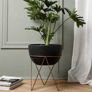 Descubre las características de cada maceta