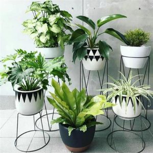 Aprende a plantar en macetas